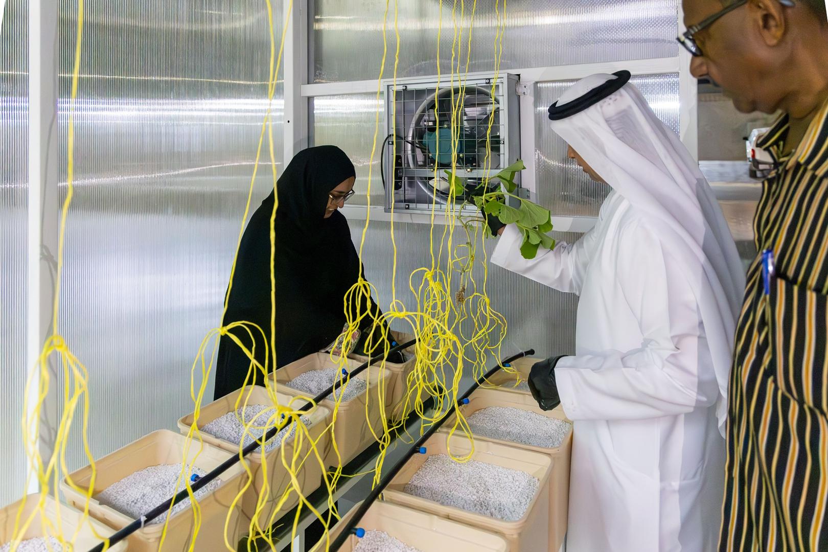 AJBWC completes second plastic greenhouse project,